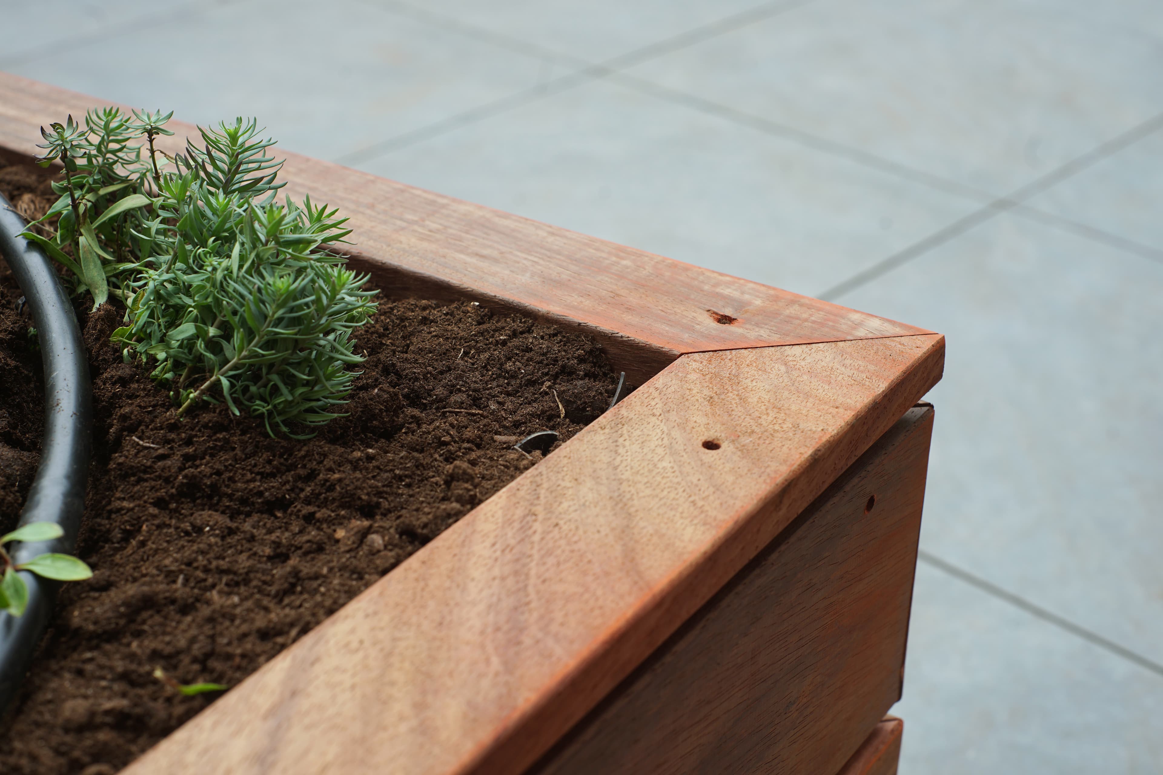 Showcase van unieke plantenbakken